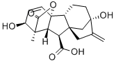Estrutura do ácido Gibberellic